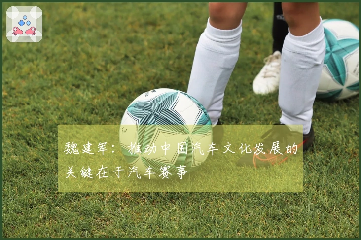 魏建军：推动中国汽车文化发展的关键在于汽车赛事